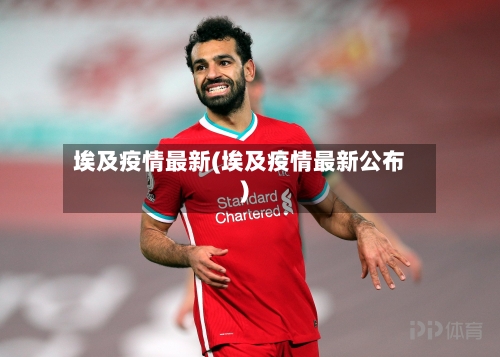 埃及疫情最新(埃及疫情最新公布)-第3张图片