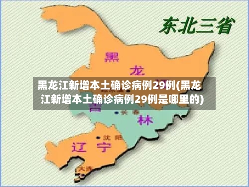 黑龙江新增本土确诊病例29例(黑龙江新增本土确诊病例29例是哪里的)-第2张图片