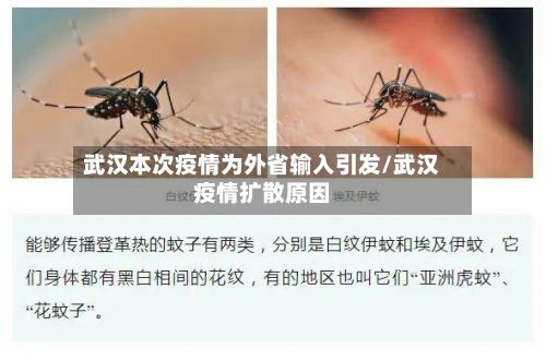 武汉本次疫情为外省输入引发/武汉疫情扩散原因-第2张图片