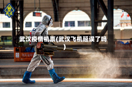 武汉疫情机票(武汉飞机延误了吗)-第1张图片