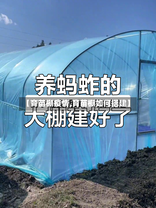 【育苗棚疫情,育苗棚如何搭建】-第3张图片