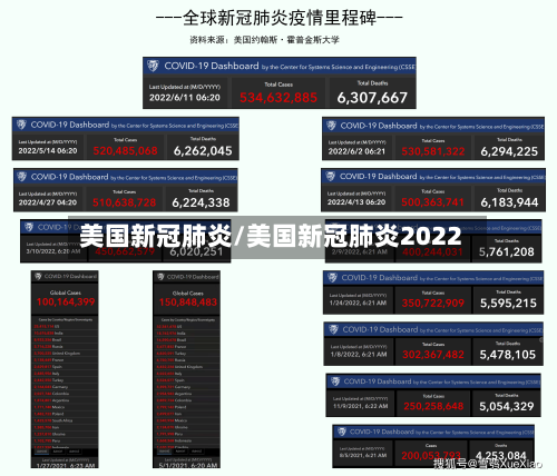 美国新冠肺炎/美国新冠肺炎2022-第1张图片