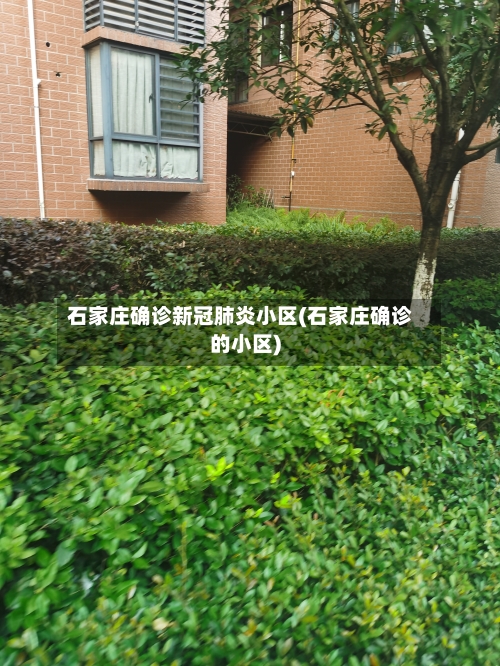 石家庄确诊新冠肺炎小区(石家庄确诊的小区)-第2张图片