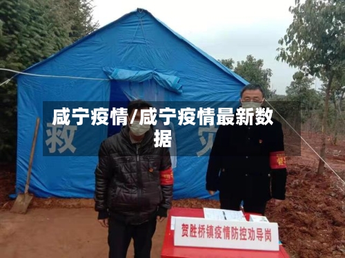咸宁疫情/咸宁疫情最新数据-第1张图片