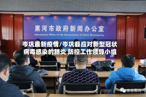 岑巩最新疫情/岑巩县应对新型冠状病毒感染的肺炎 防控工作领导小组-第1张图片
