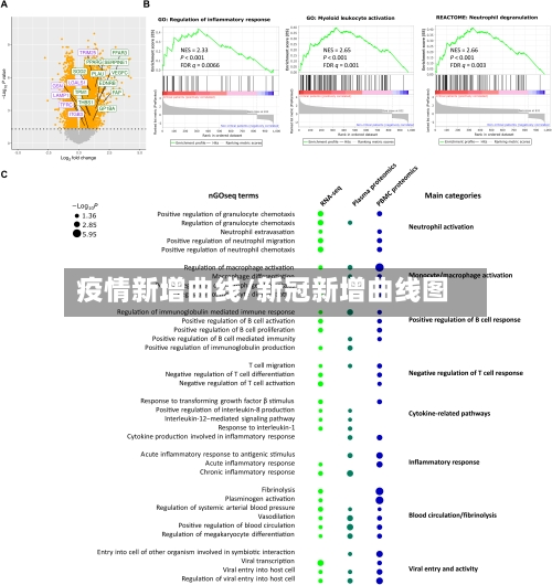疫情新增曲线/新冠新增曲线图-第2张图片
