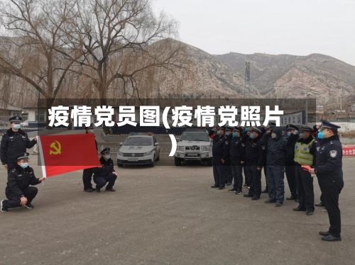 疫情党员图(疫情党照片)-第3张图片