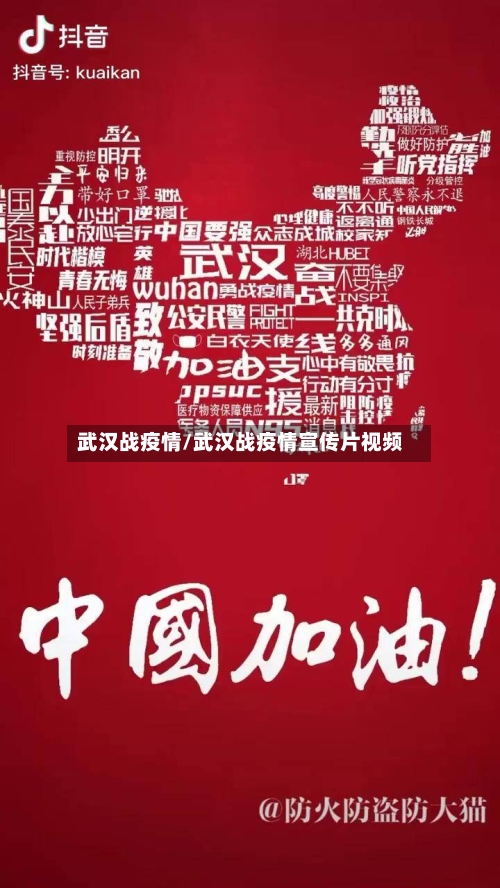 武汉战疫情/武汉战疫情宣传片视频-第1张图片