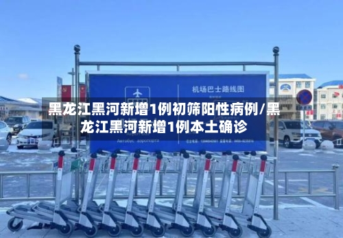黑龙江黑河新增1例初筛阳性病例/黑龙江黑河新增1例本土确诊-第2张图片