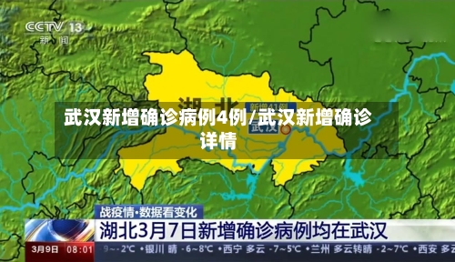 武汉新增确诊病例4例/武汉新增确诊详情-第1张图片