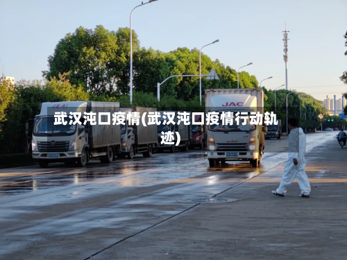 武汉沌口疫情(武汉沌口疫情行动轨迹)-第2张图片