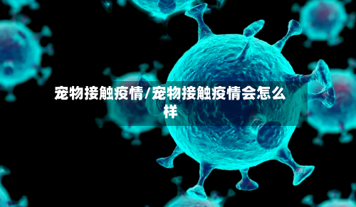 宠物接触疫情/宠物接触疫情会怎么样-第1张图片