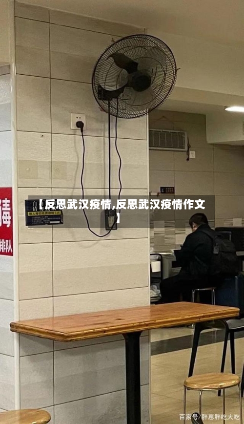 【反思武汉疫情,反思武汉疫情作文】-第3张图片