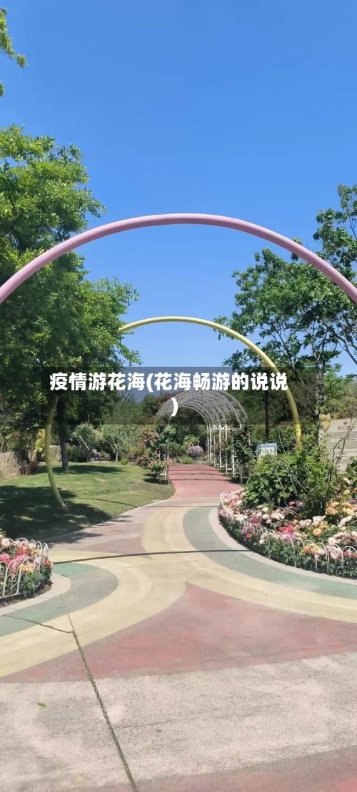 疫情游花海(花海畅游的说说)-第1张图片