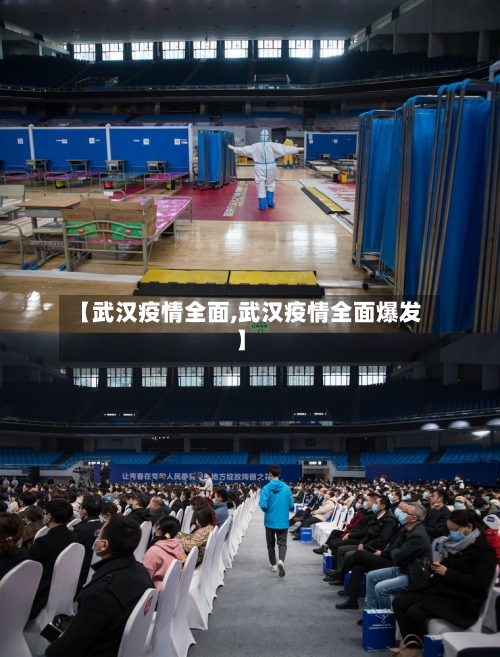 【武汉疫情全面,武汉疫情全面爆发】-第2张图片