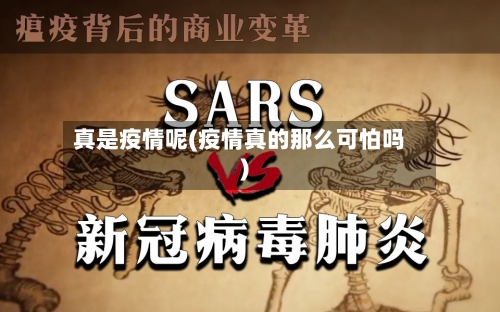 真是疫情呢(疫情真的那么可怕吗)-第3张图片