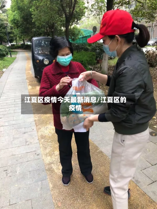 江夏区疫情今天最新消息/江夏区的疫情-第1张图片