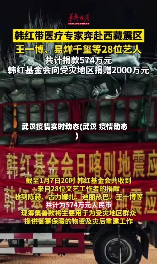 武汉疫情实时动态(武汉 疫情动态)-第2张图片